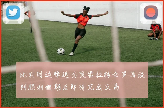 都灵签下菲慈占天乐转会费为250万欧并附带转售分成条款